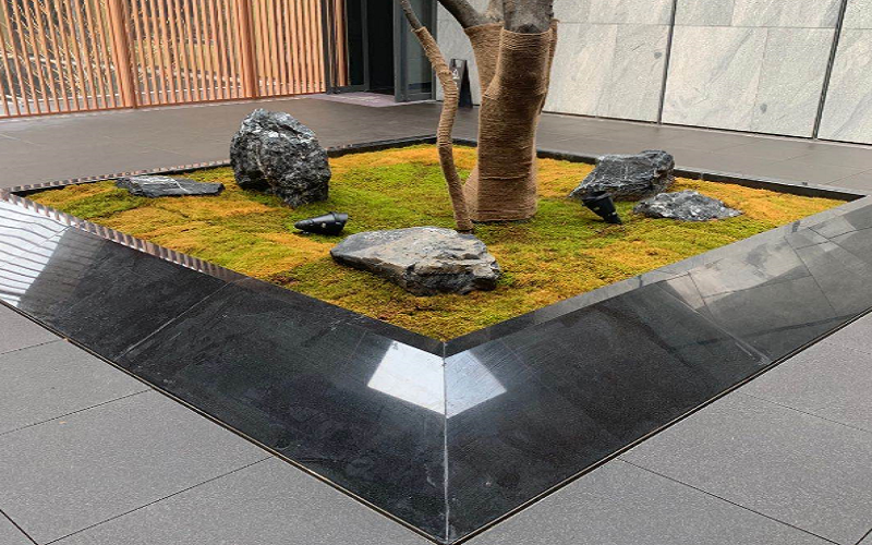 中国黑5G影院天天爽树坑石5G天天免费入口